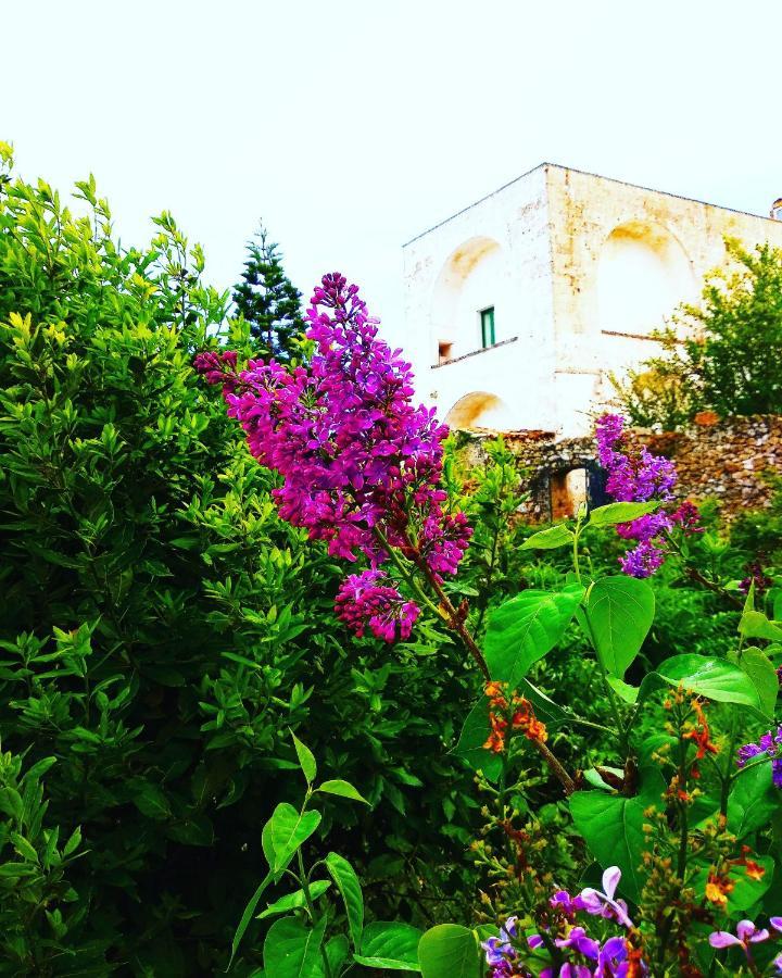 Masseria Delle Rose 1760 Alessano Kültér fotó